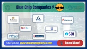 What is Blue Chip Companies