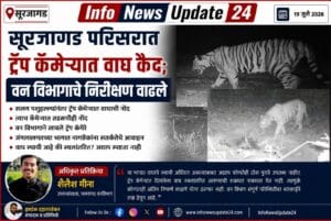 सूरजागड परिसरात ट्रॅप कॅमेऱ्यात वाघ कैद