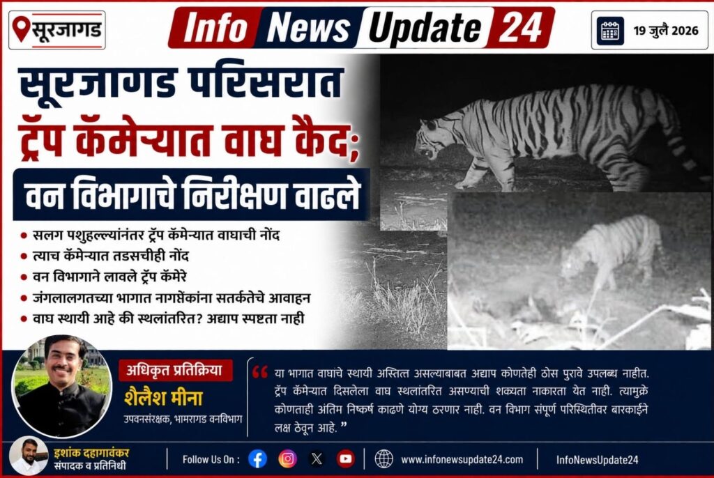 सूरजागड परिसरात ट्रॅप कॅमेऱ्यात वाघ कैद