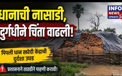 पिपली येथील धान खरेदी केंद्राच्या परिसरात खराब अवस्थेत साठवून ठेवलेले धान